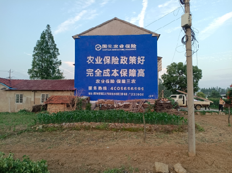 宜都墙体广告为何受追捧？